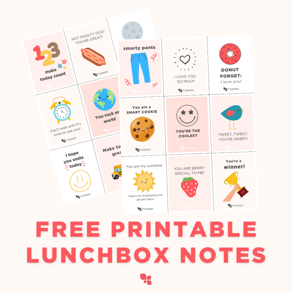 BACK-TO-SCHOOL LUNCHBOX IDEAS FOR THE BUSY FAMILY - FIT4MOM® Tampa Bay - Community for Moms